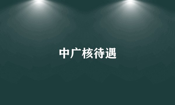 中广核待遇