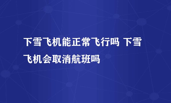 下雪飞机能正常飞行吗 下雪飞机会取消航班吗