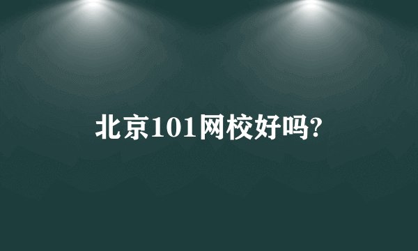 北京101网校好吗?