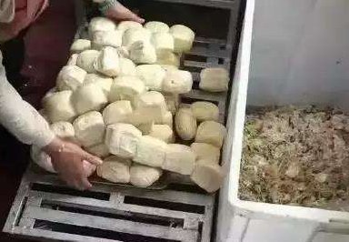 中学食堂食物变质调查结果公布,如何保证学生食品安全?