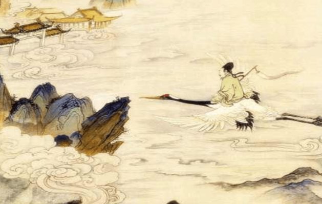 辽宁老人去世仙鹤到灵堂相送，这是个什么样的场景？