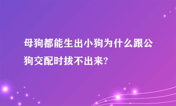 母狗都能生出小狗为什么跟公狗交配时拔不出来?