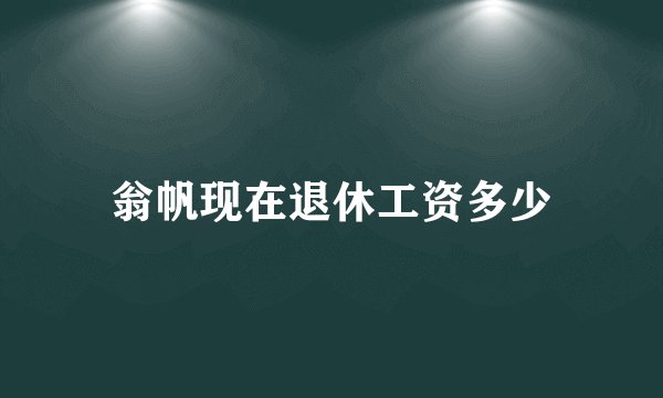翁帆现在退休工资多少