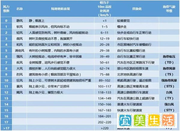风王“山竹”驾到,你对它了解多少?