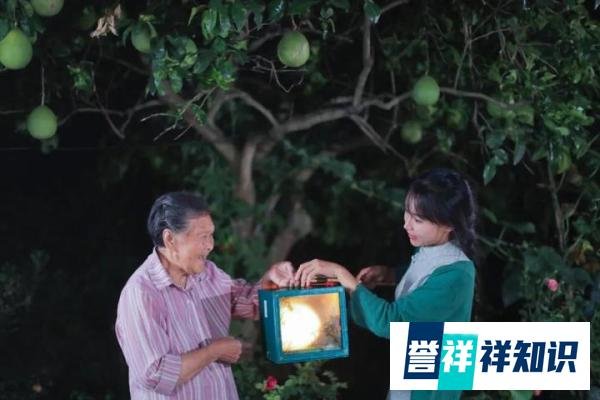 李子柒再刷世界纪录,吉尼斯官方这样评价她