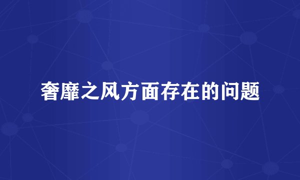 奢靡之风方面存在的问题