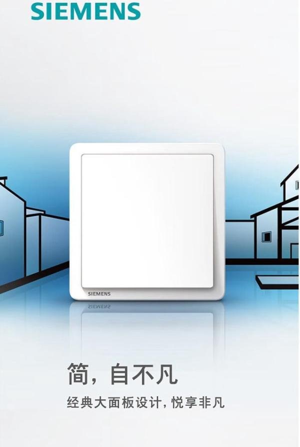 2024年十大感应开关品牌排名