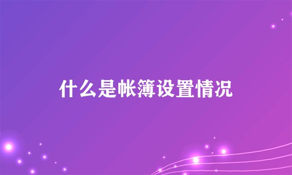 什么是帐簿设置情况