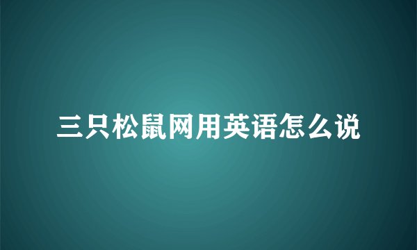 三只松鼠网用英语怎么说