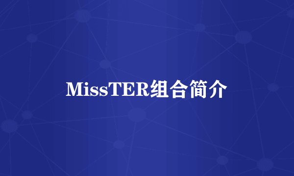 MissTER组合简介