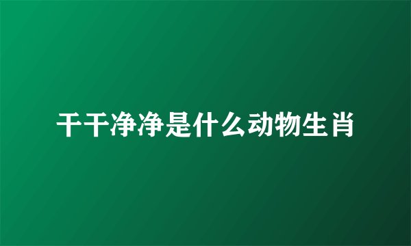 干干净净是什么动物生肖
