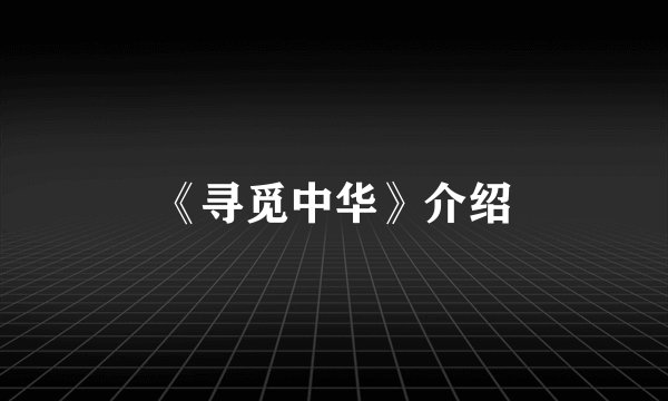 《寻觅中华》介绍