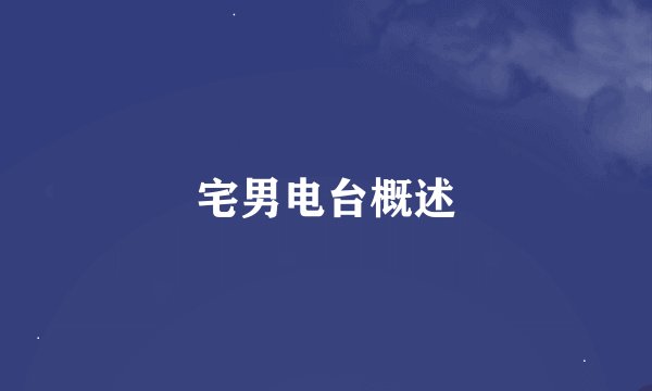 宅男电台概述