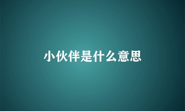 小伙伴是什么意思