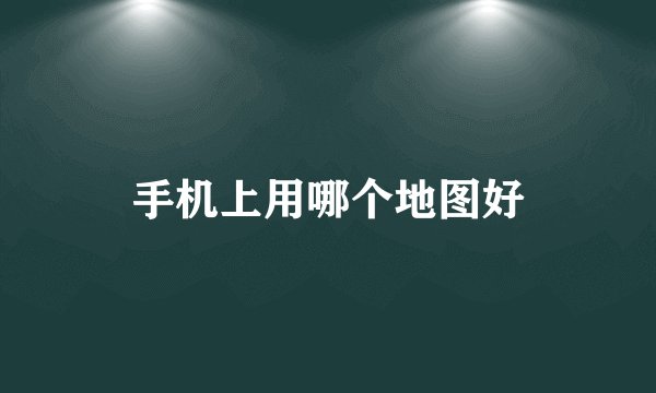 手机上用哪个地图好