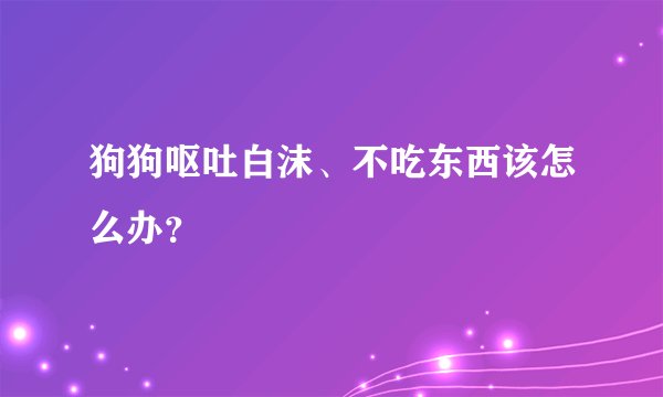 狗狗呕吐白沫、不吃东西该怎么办？