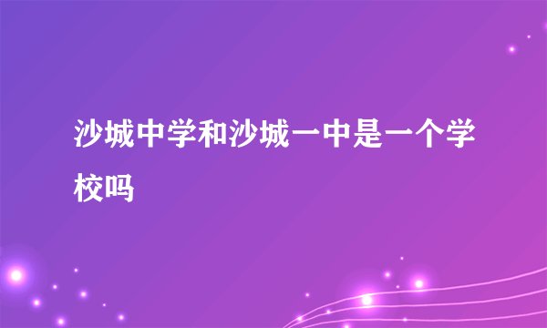沙城中学和沙城一中是一个学校吗