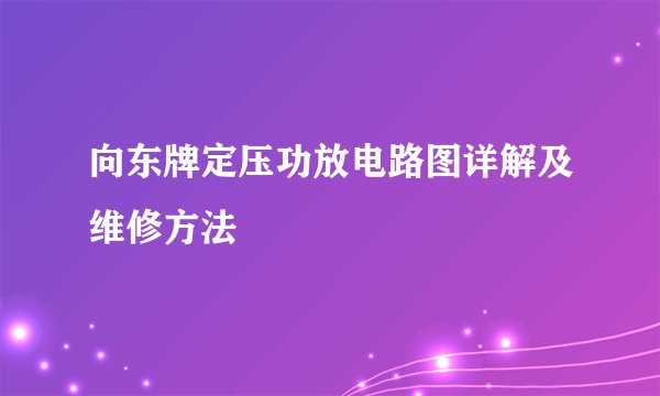 向东牌定压功放电路图详解及维修方法
