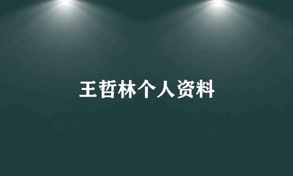 王哲林个人资料