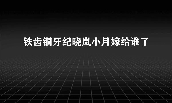 铁齿铜牙纪晓岚小月嫁给谁了