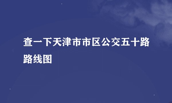查一下天津市市区公交五十路路线图