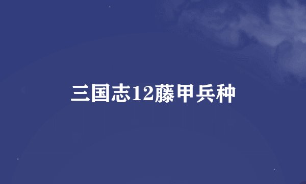 三国志12藤甲兵种
