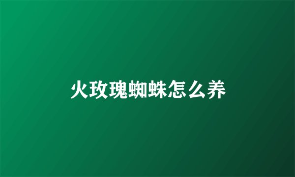 火玫瑰蜘蛛怎么养