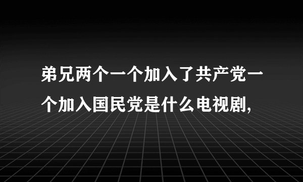 弟兄两个一个加入了共产党一个加入国民党是什么电视剧,