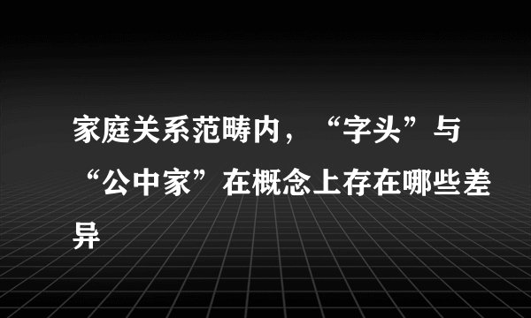 家庭关系范畴内,“字头”与“公中家”在概念上存在哪些差异