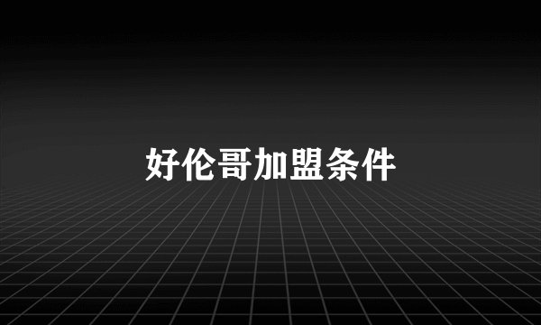 好伦哥加盟条件