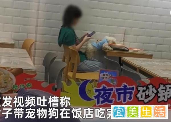 女子带宠物狗去饭店吃饭，竟然让她的宠物狗用公共餐具吃东西