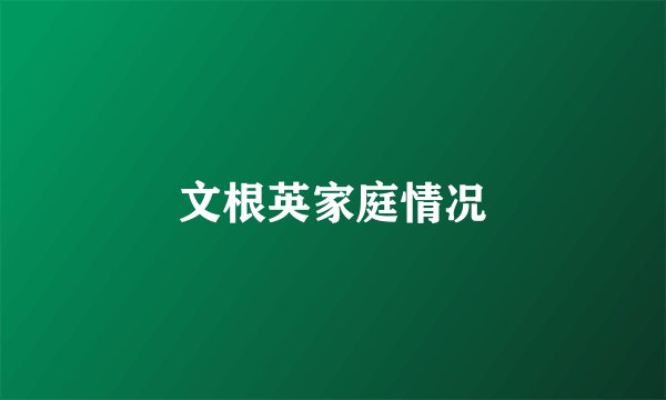 文根英家庭情况
