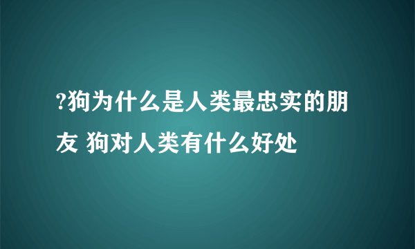 ?狗为什么是人类最忠实的朋友 狗对人类有什么好处