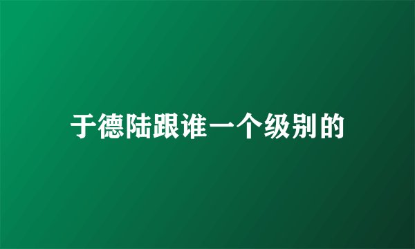 于德陆跟谁一个级别的