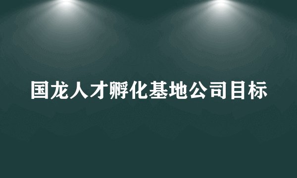 国龙人才孵化基地公司目标
