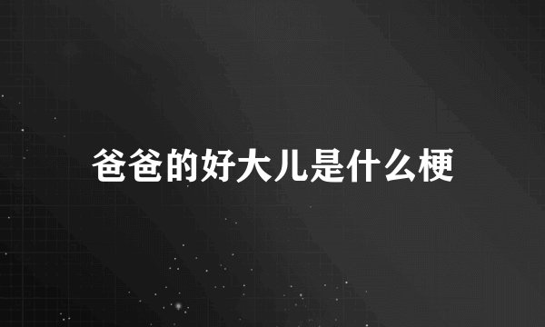 爸爸的好大儿是什么梗