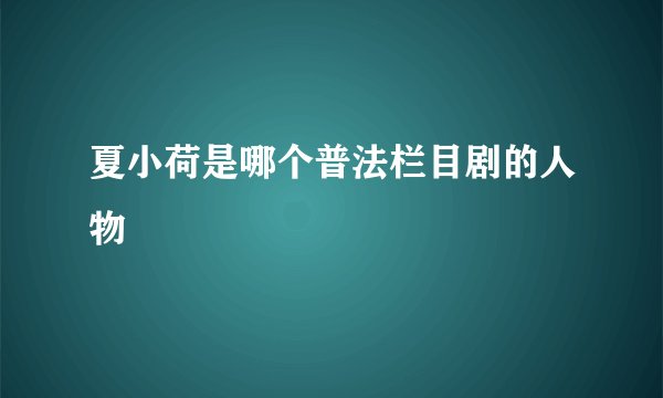 夏小荷是哪个普法栏目剧的人物