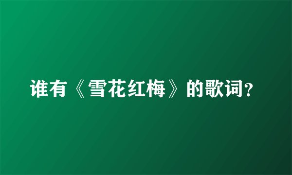 谁有《雪花红梅》的歌词？