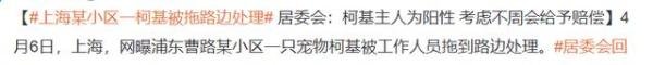 这种“草率”，我不愿再看到第二次
