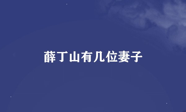 薛丁山有几位妻子