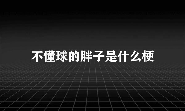 不懂球的胖子是什么梗