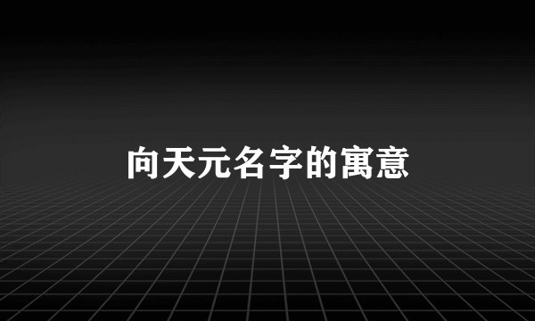 向天元名字的寓意