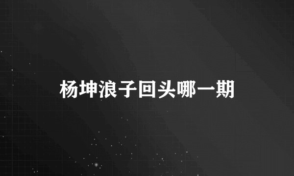 杨坤浪子回头哪一期