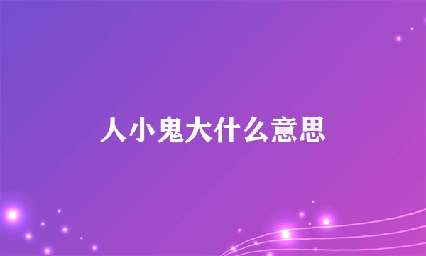 人小鬼大什么意思