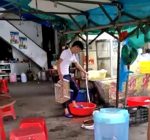 大排档用脚洗菜是怎么回事？