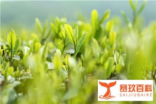 躲春2022具体时间:2022年躲春几点到几点?怎么躲春?