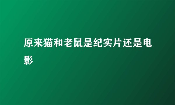 原来猫和老鼠是纪实片还是电影