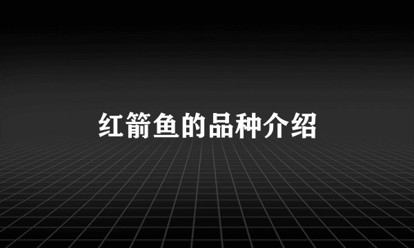红箭鱼的品种介绍