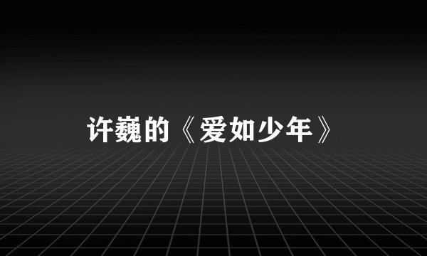 许巍的《爱如少年》