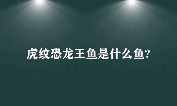虎纹恐龙王鱼是什么鱼?